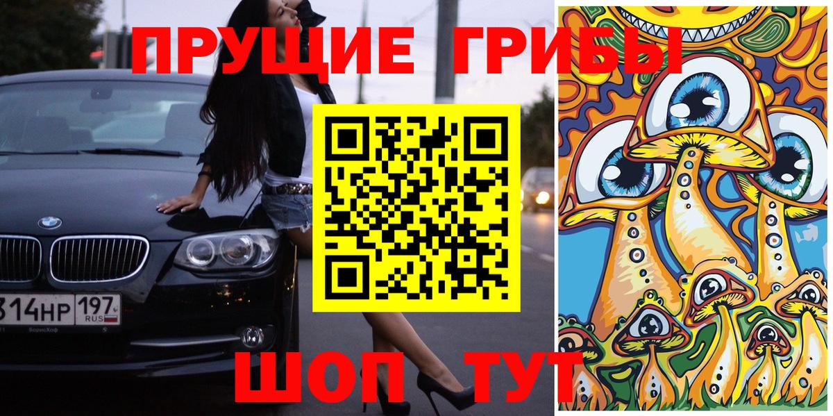 Горно-Алтайск  Псилоцибиновые грибы Cubensis  как найти закладки  Вход с VPN 